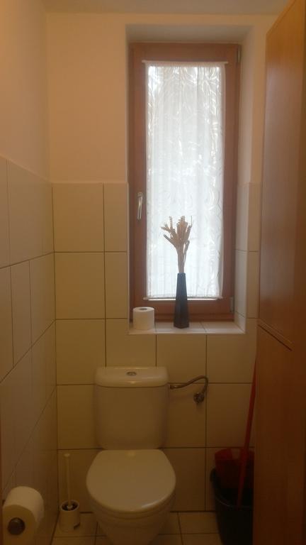 Apartment Lipno ليبنو ناد فلتافو المظهر الخارجي الصورة